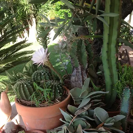 Couette-café Rocca Castello Taormine