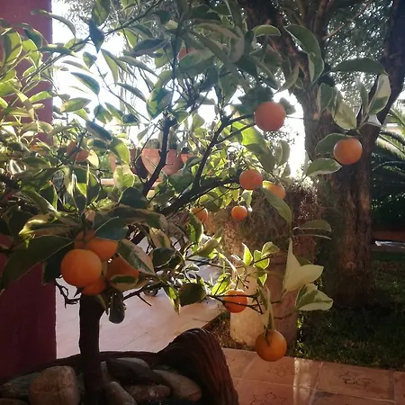 Bed & Breakfast Rocca Castello